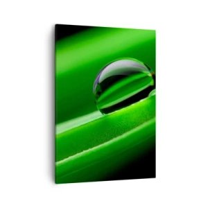 Quadro em tela - A vida de perto - 50x70 cm