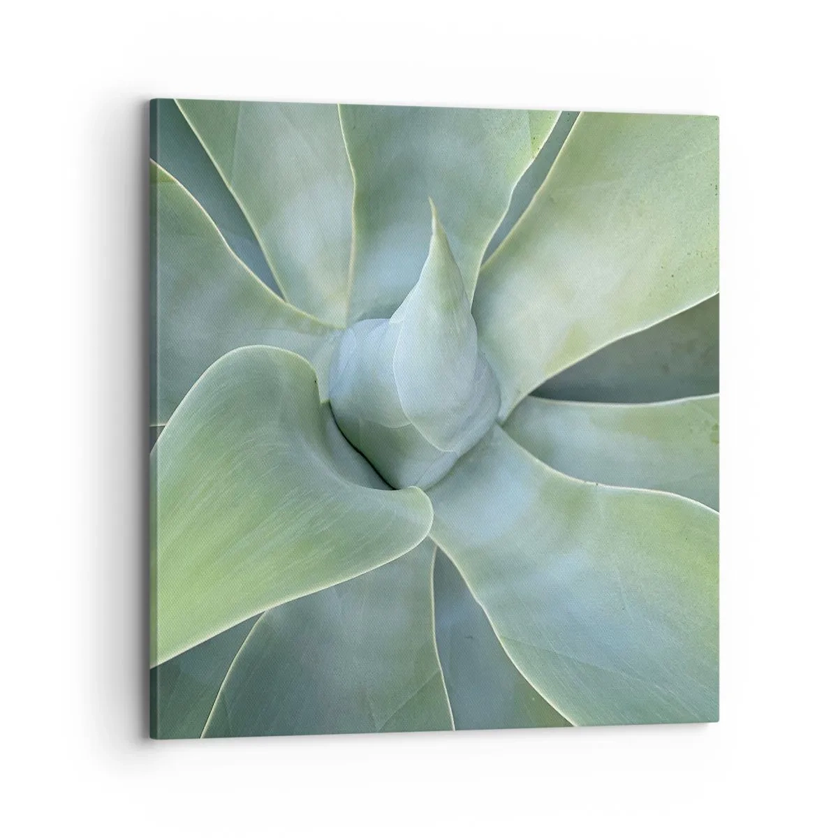 Quadro em tela - O nascimento da vegetação - 70x70 cm