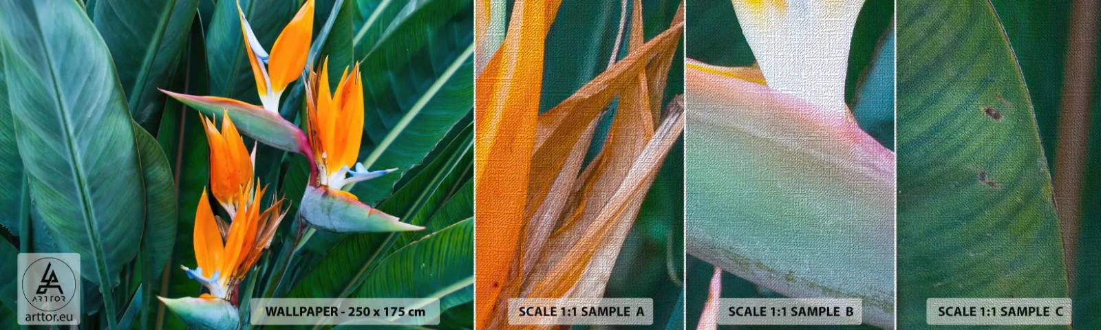 Amostra de papel de parede Premium Canvas - É uma flor ou é um pássaro? - Strelitzia real, Flor, África - 100x30 cm