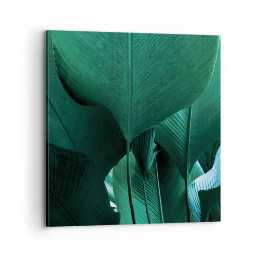 Quadro em tela - De frente para a luz - 70x70 cm