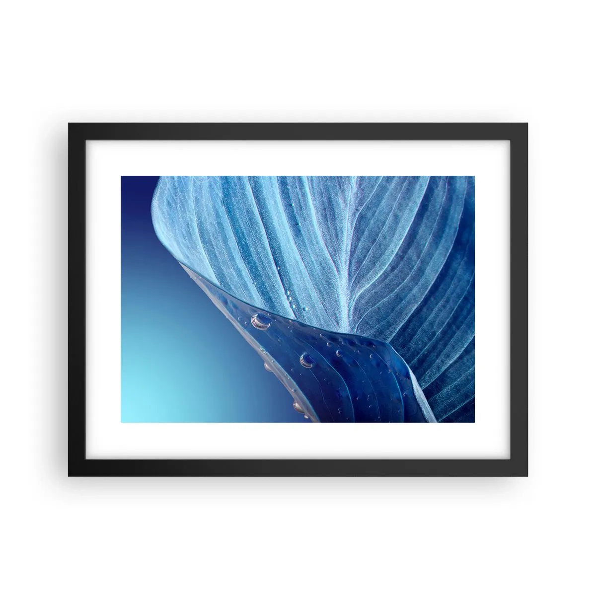 Pôster com moldura preta - Gotas escondidas no azul - 40x30 cm