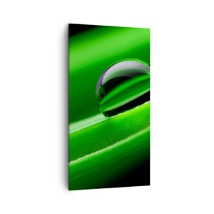 Quadro em tela - A vida de perto - 55x100 cm