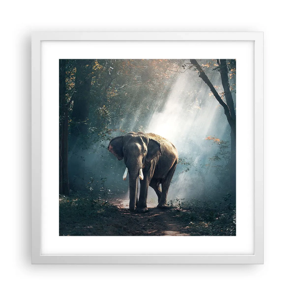 Pôster em moldura branca - Um passeio descontraído - 40x40 cm