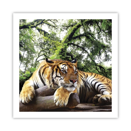 Pôster - Com os melhores cumprimentos - 60x60 cm