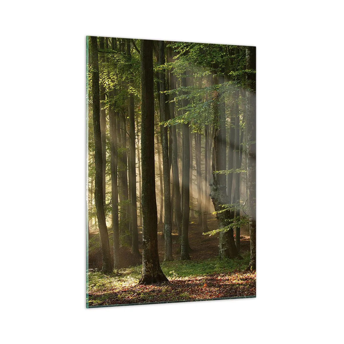 Quadro em vidro - Radiante em uma manhã de primavera - 50x70 cm