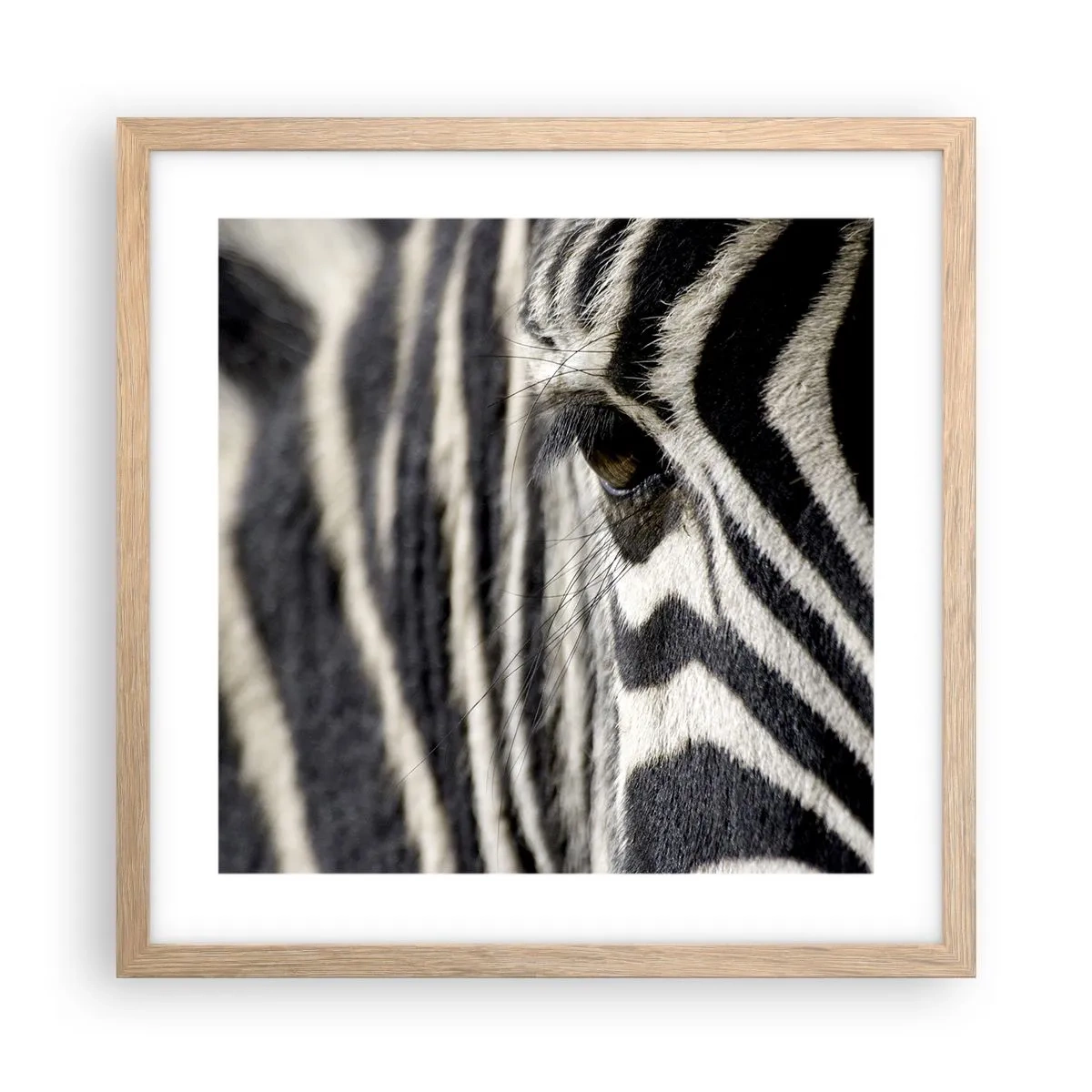 Pôster com moldura de carvalho claro - Retrato em listras - 40x40 cm