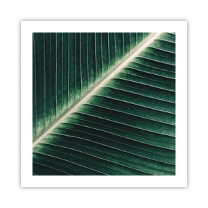 Pôster - O ritmo da natureza - 50x50 cm