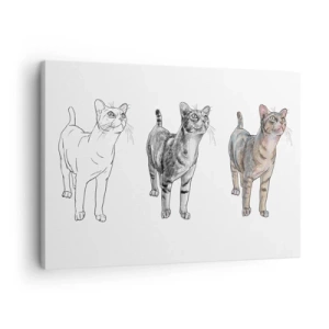 Quadro em tela - A evolução do desenho de um gato, do esboço à forma colorida - 70x50cm - Aula de desenho - Decoração de parede moderna para a sala de estar e quarto ARTTOR