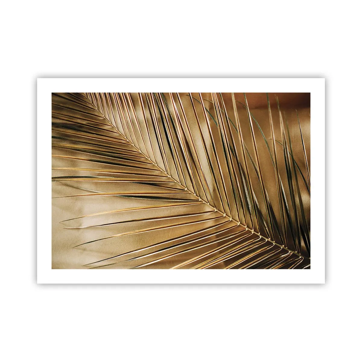 Pôster - Colunata natural - 70x50 cm