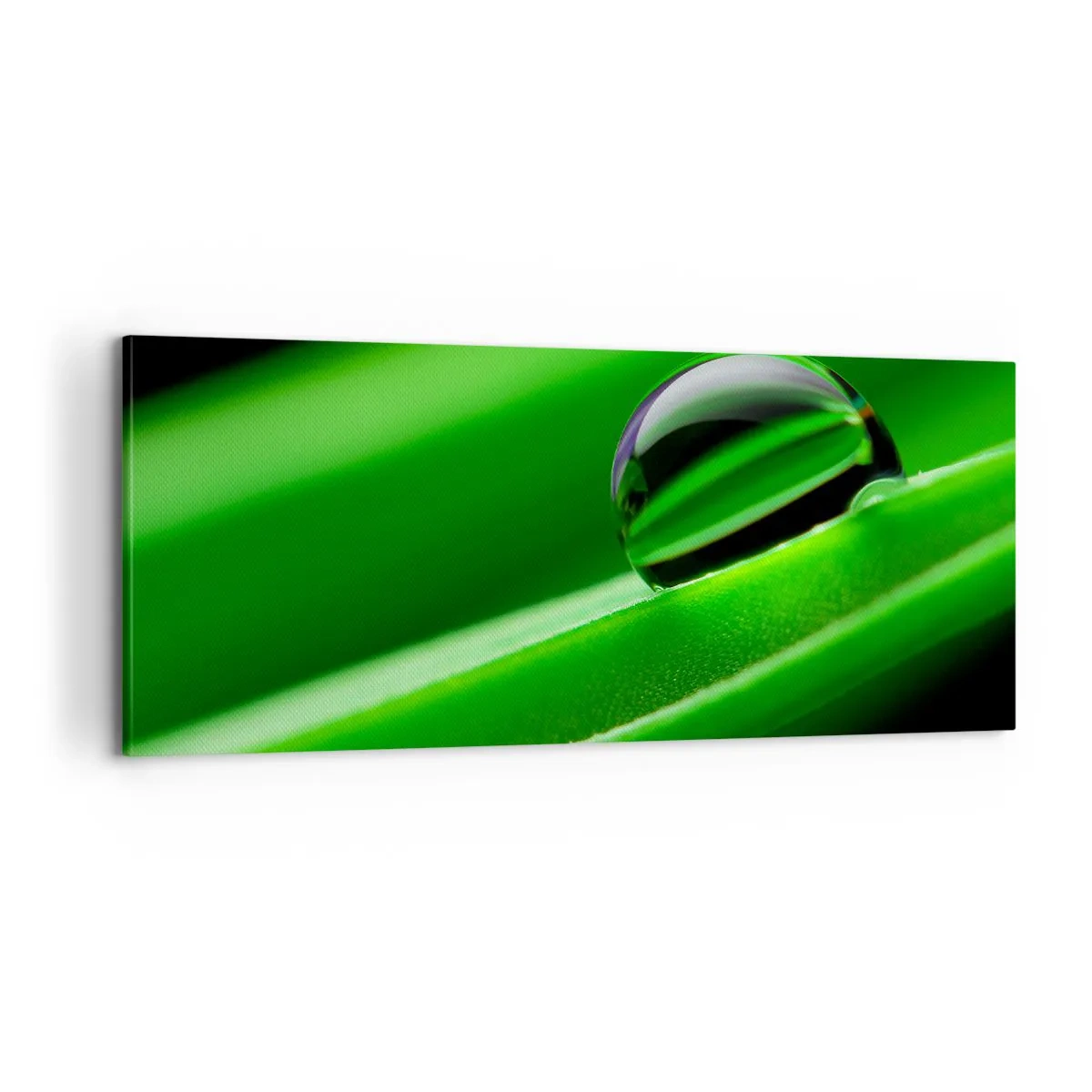 Quadro em tela - A vida de perto - 100x40 cm