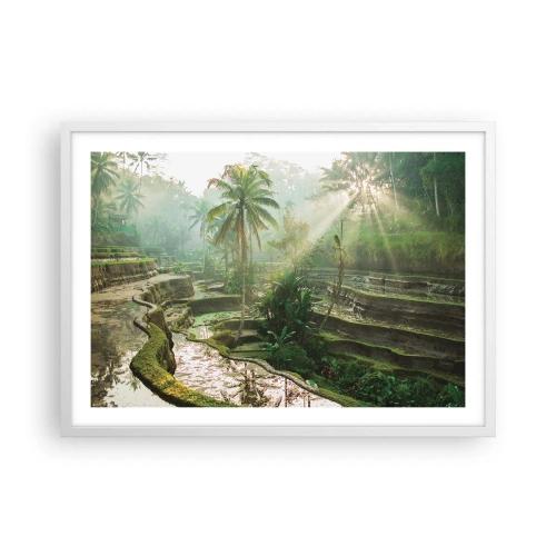 Pôster em moldura branca - Crescer ao sol - 70x50 cm