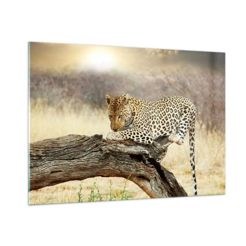 Quadro em vidro - Eu sigo o meu próprio caminho - 100x70 cm
