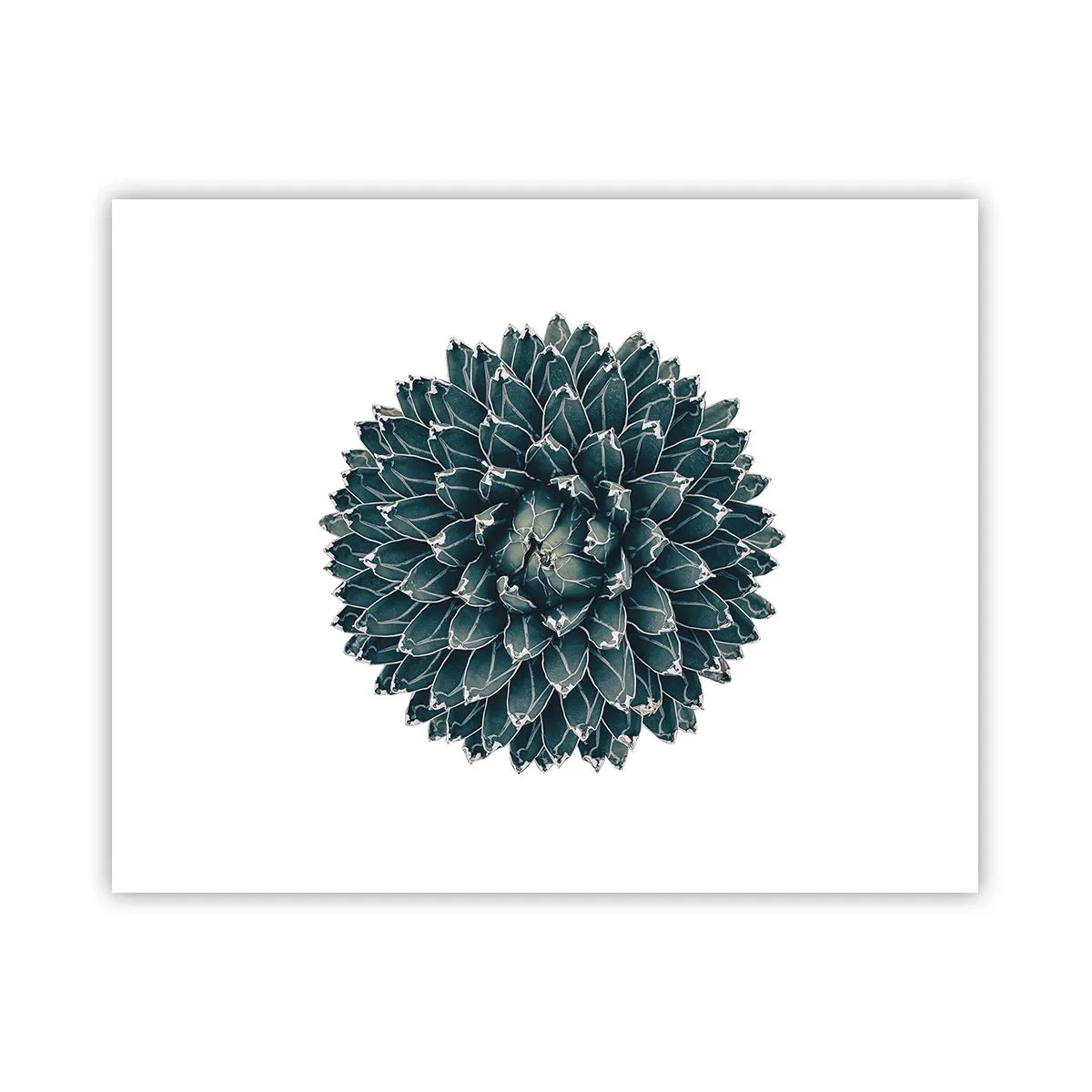 Pôster - Estrela do Deserto - 50x40 cm