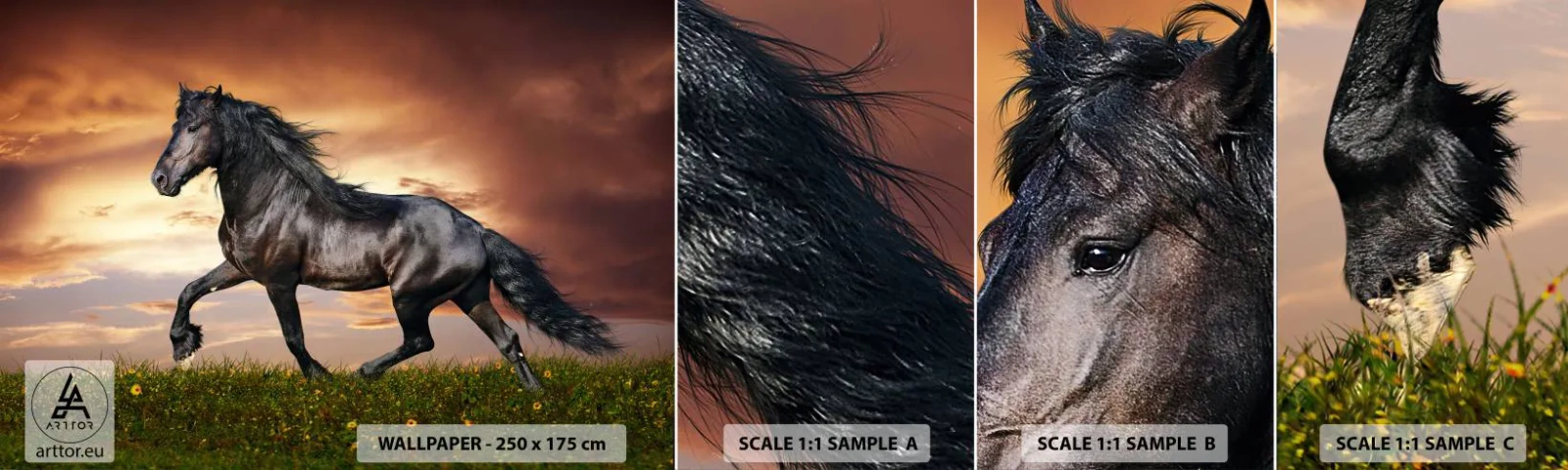 Amostra de papel de parede autocolante Deluxe Sticker - O Príncipe Negro - Animais, Cavalo árabe, Paisagem - 100x30 cm