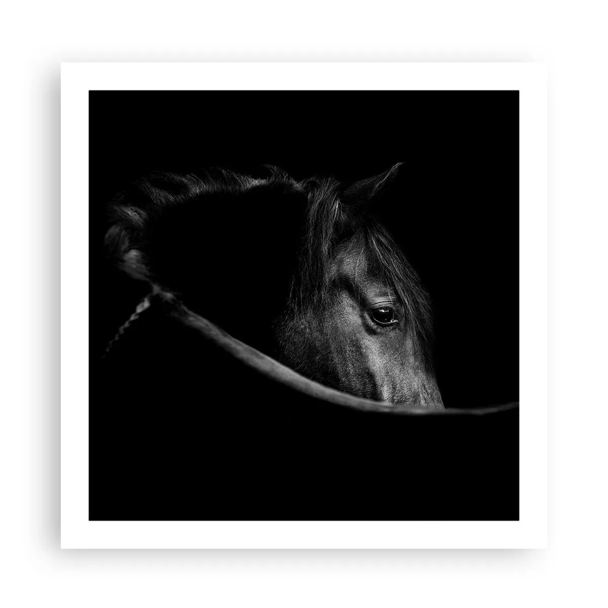 Pôster - Príncipe Negro - 60x60 cm