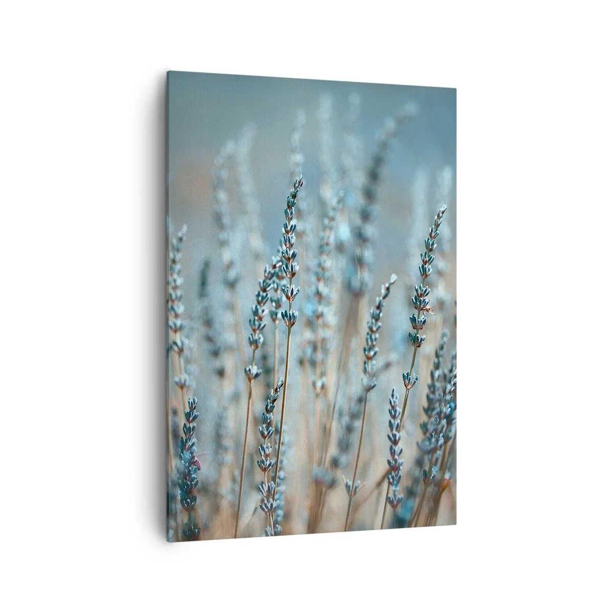 Quadro em tela - Prado perfumado - 70x100 cm