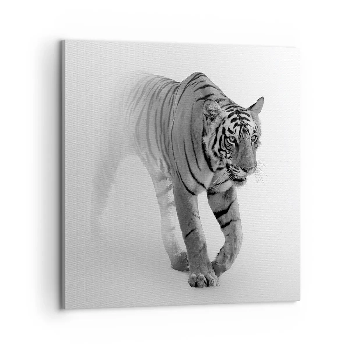 Quadro em tela - À espreita na névoa - 60x60 cm