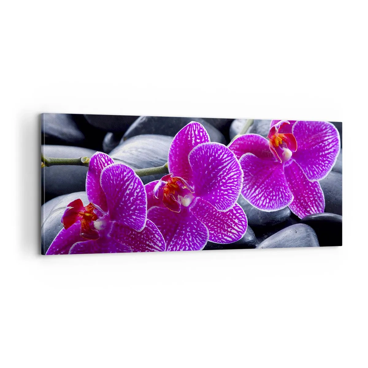 Quadro em tela - As pedras de iluminaram de deleite - 100x40 cm