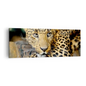 Quadro em tela - Não tenha medo, venha - 140x50 cm