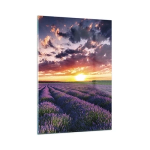 Quadro em vidro - O mundo da lavanda - 50x70 cm