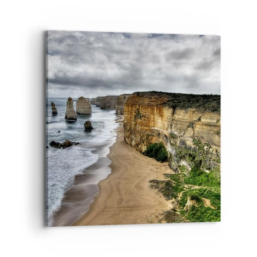 Quadro em tela - Beleza crua - 70x70 cm