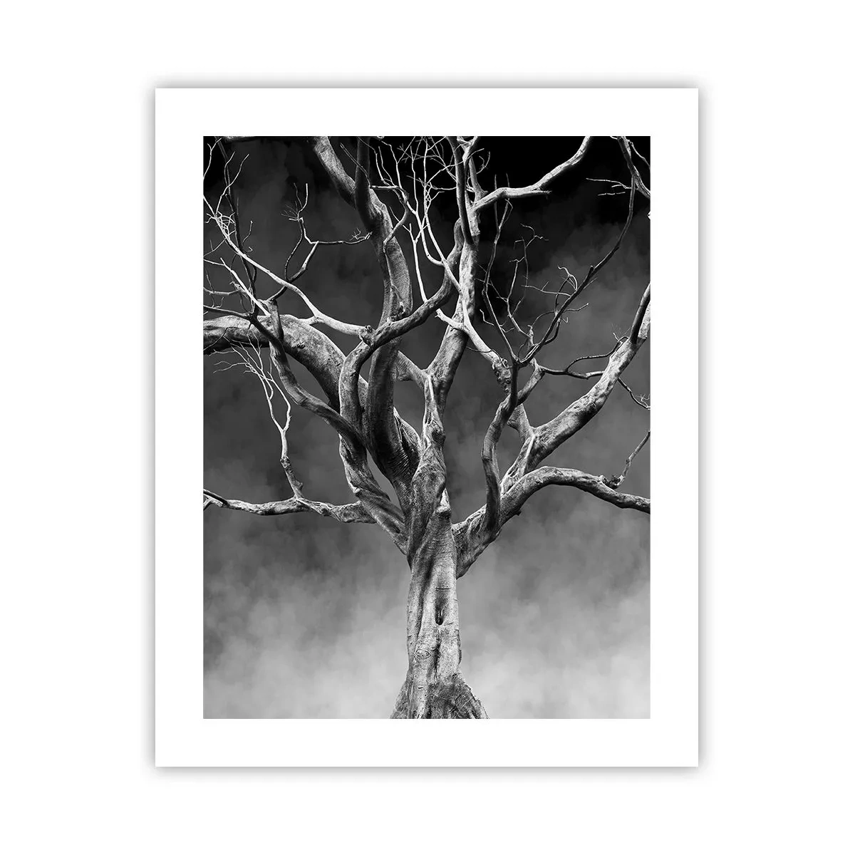 Pôster - Primitivo e sagrado - 40x50 cm