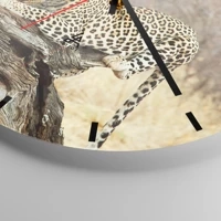 Mostrador com traços