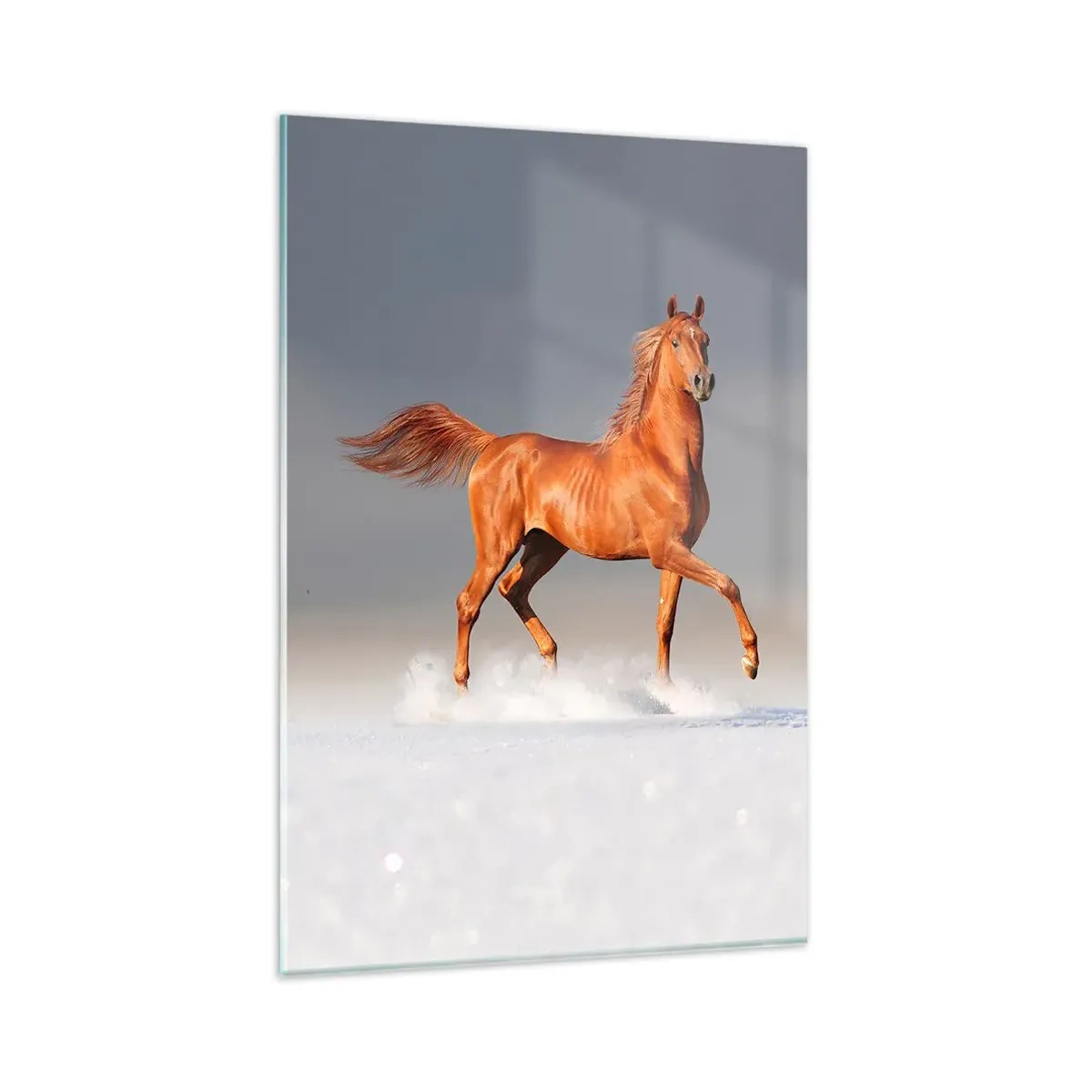 Quadro em vidro - Graça Dançante - 80x120 cm