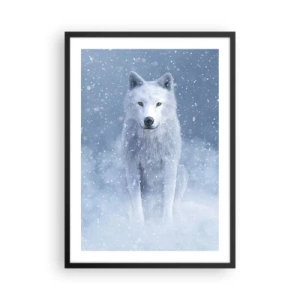 Pôster com moldura preta - Um lobo branco em uma paisagem de inverno, cercado por neve. - 50x70cm - No espírito de inverno - Decoração de parede moderna para a sala de estar e quarto ARTTOR