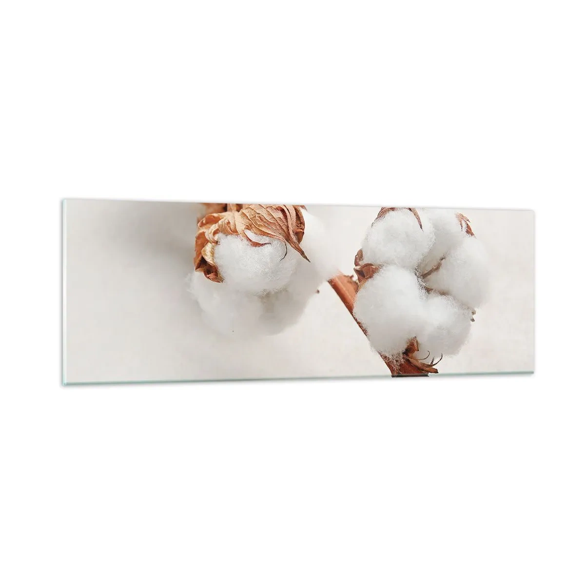 Quadro em vidro - Apenas acaricie - 90x30 cm