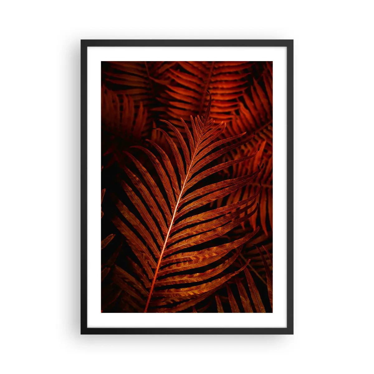 Pôster com moldura preta - Folhas de palmeira vermelhas em iluminação artística - 50x70cm - O calor da vida - Decoração de parede moderna para a sala de estar e quarto ARTTOR
