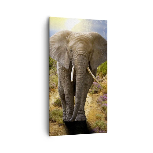 Quadro em tela - Assim era o Éden - 55x100 cm