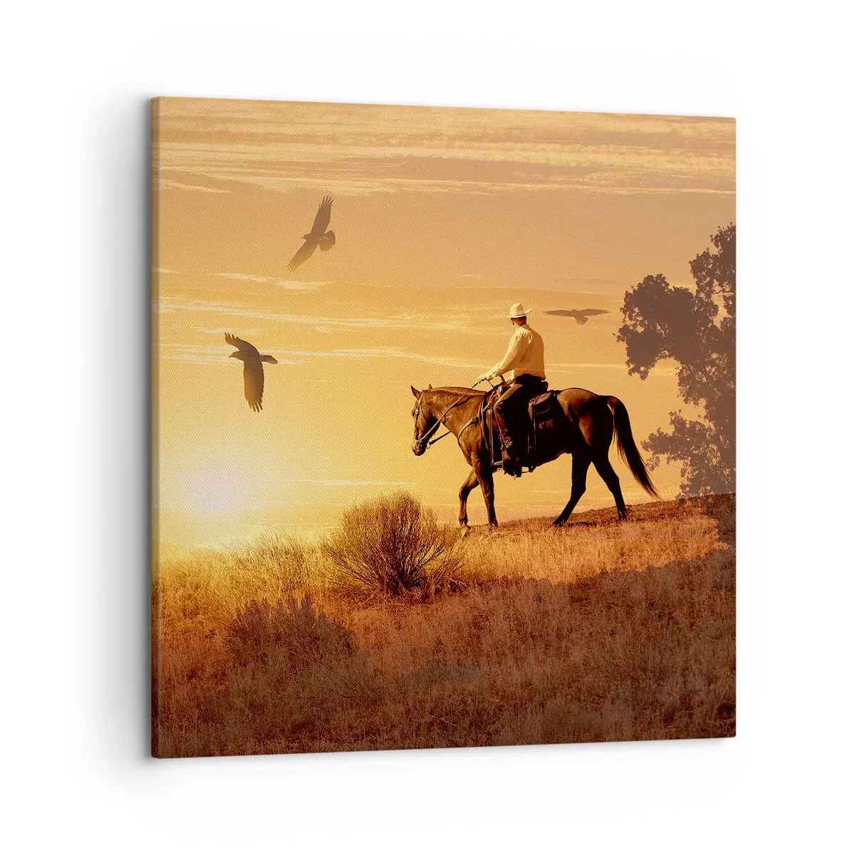 Quadro em tela - Sozinho em toda a pradaria - 50x50 cm