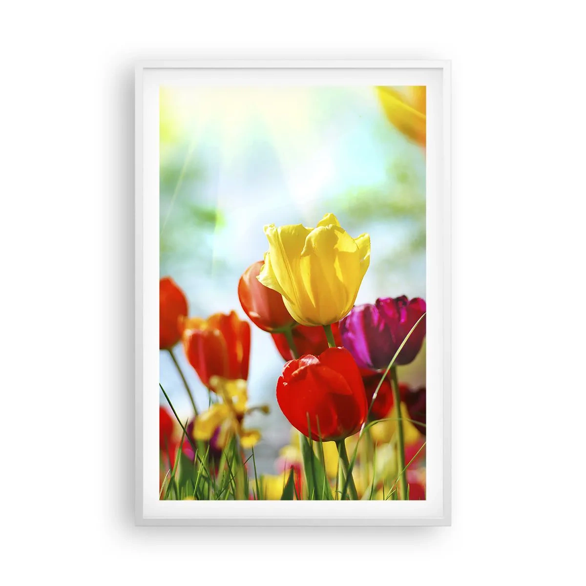 Pôster em moldura branca - Todas as cores do sol - 61x91 cm