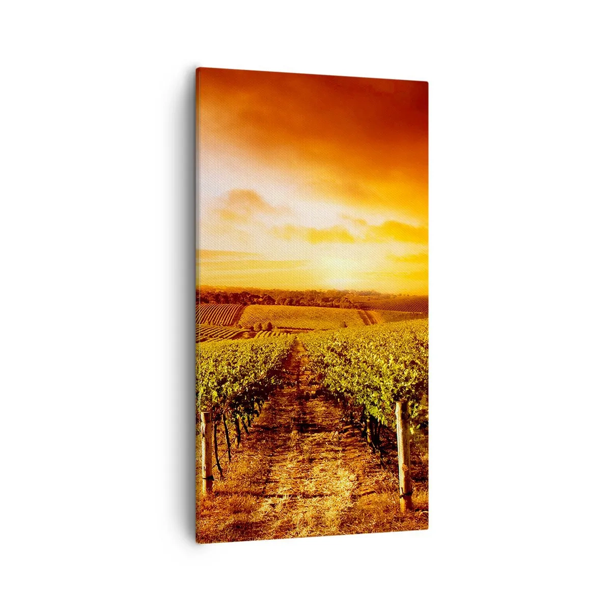 Quadro em tela - Delicadamente frutado com um toque de sol - 55x100 cm