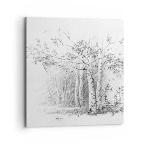Quadro em tela - Luz da floresta de bétulas - 70x70 cm