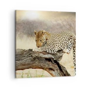 Quadro em tela - Eu sigo o meu próprio caminho - 60x60 cm