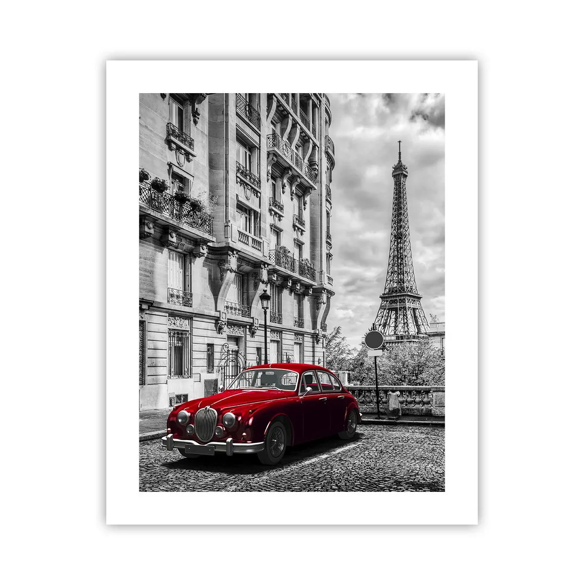 Pôster - Predador na cidade - 40x50 cm