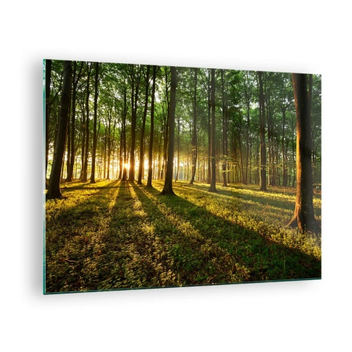 Quadro em vidro - Uma clareira na floresta iluminada pelos raios do sol nascente - 70x50cm - Fotografia de todas as primaveras - Decoração de parede moderna para a sala de estar e quarto ARTTOR