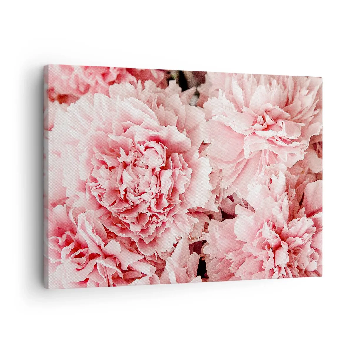Quadro em tela - Peônias rosas sutis em um ambiente delicado - 70x50cm - Sonho rosa - Decoração de parede moderna para a sala de estar e quarto ARTTOR