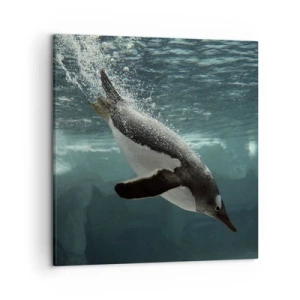 Quadro em tela - Bem-vindo ao meu mundo - 50x50 cm