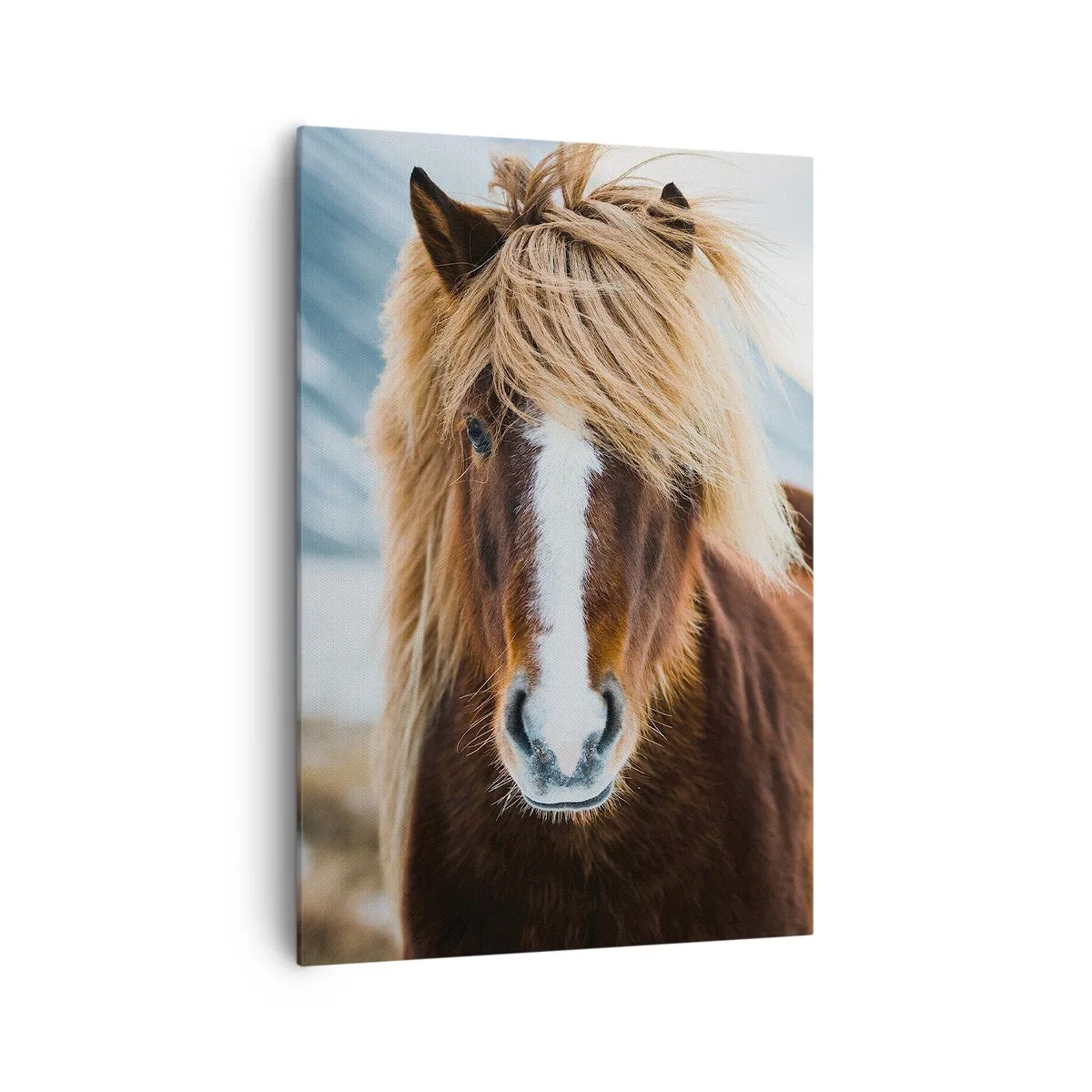 Quadro em tela - Sentes a liberdade? - 70x100 cm