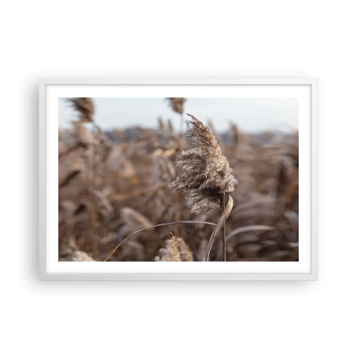 Pôster em moldura branca - É hora de voar com o vento - 70x50 cm