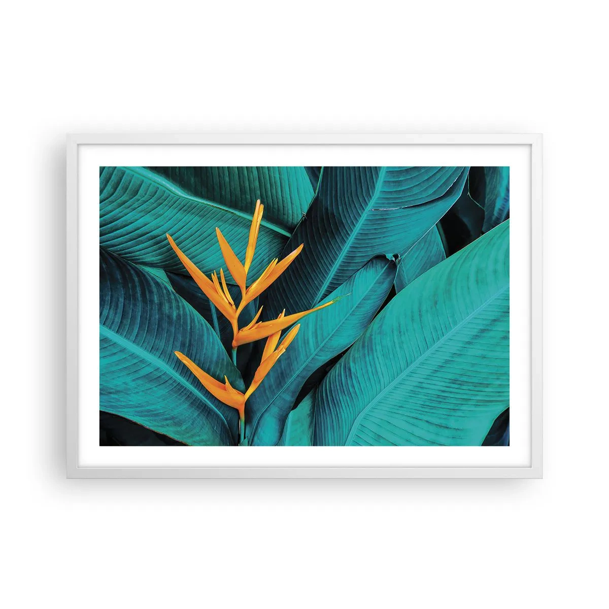 Pôster em moldura branca - Flor do Éden - 70x50 cm