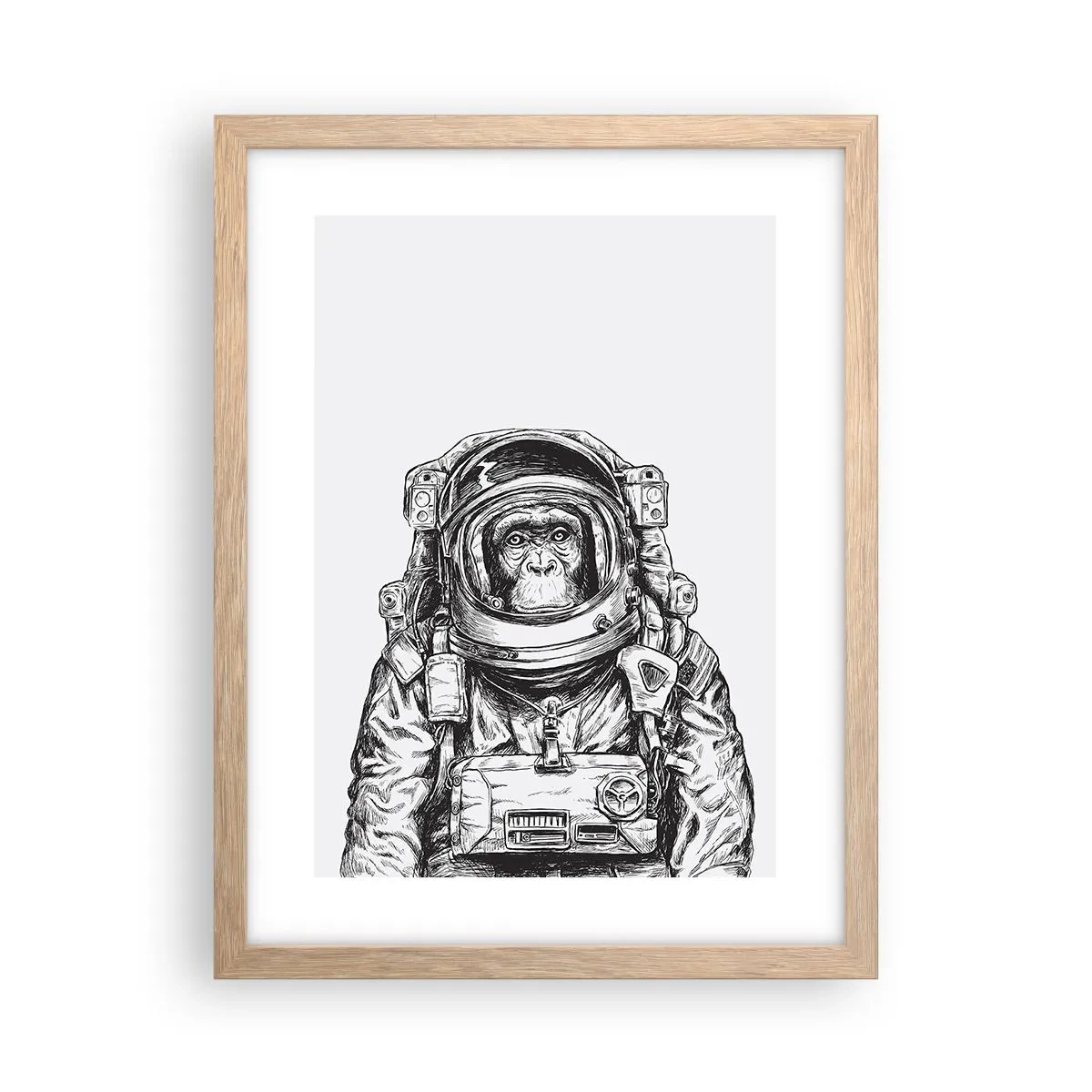 Pôster com moldura de carvalho claro - Evolução alternativa - 30x40 cm