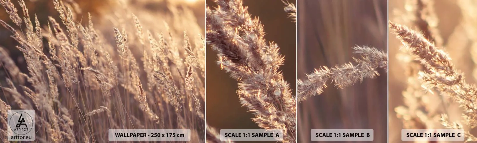 Amostra de Papel de Parede Standard Eco - Pronto para receber o outono - Paisagem, Espigas de grão, Prado - 100x30 cm