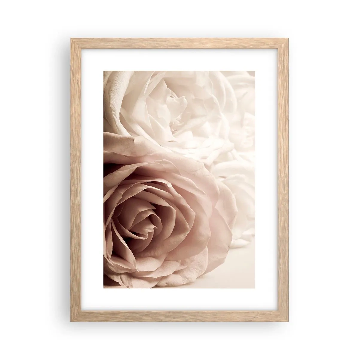 Pôster com moldura de carvalho claro - No coração de uma rosa - 30x40 cm