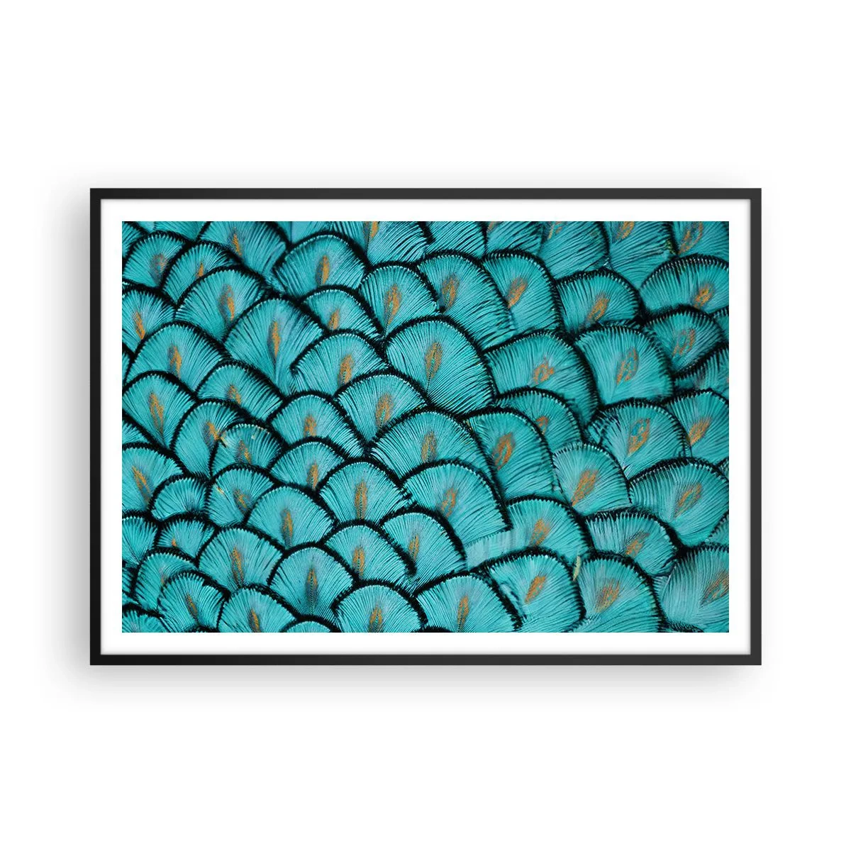 Pôster com moldura preta - A grande gala de penas - 100x70 cm