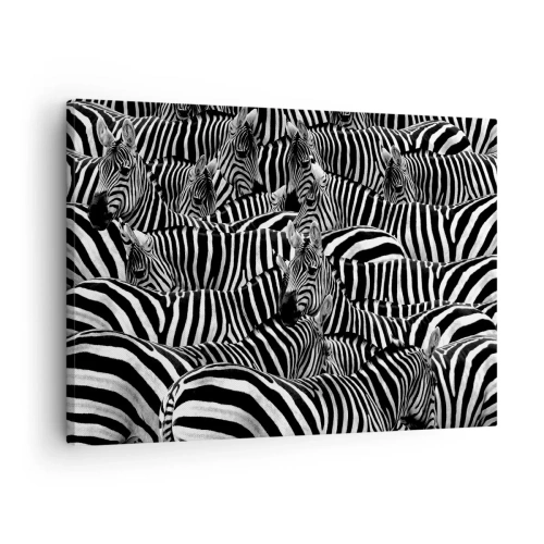 Quadro em tela - Um grupo de zebras com listras pretas e brancas criando um padrão de simetria. - 70x50cm - Retrato de grupo em listras - Decoração de parede moderna para a sala de estar e quarto ARTTOR