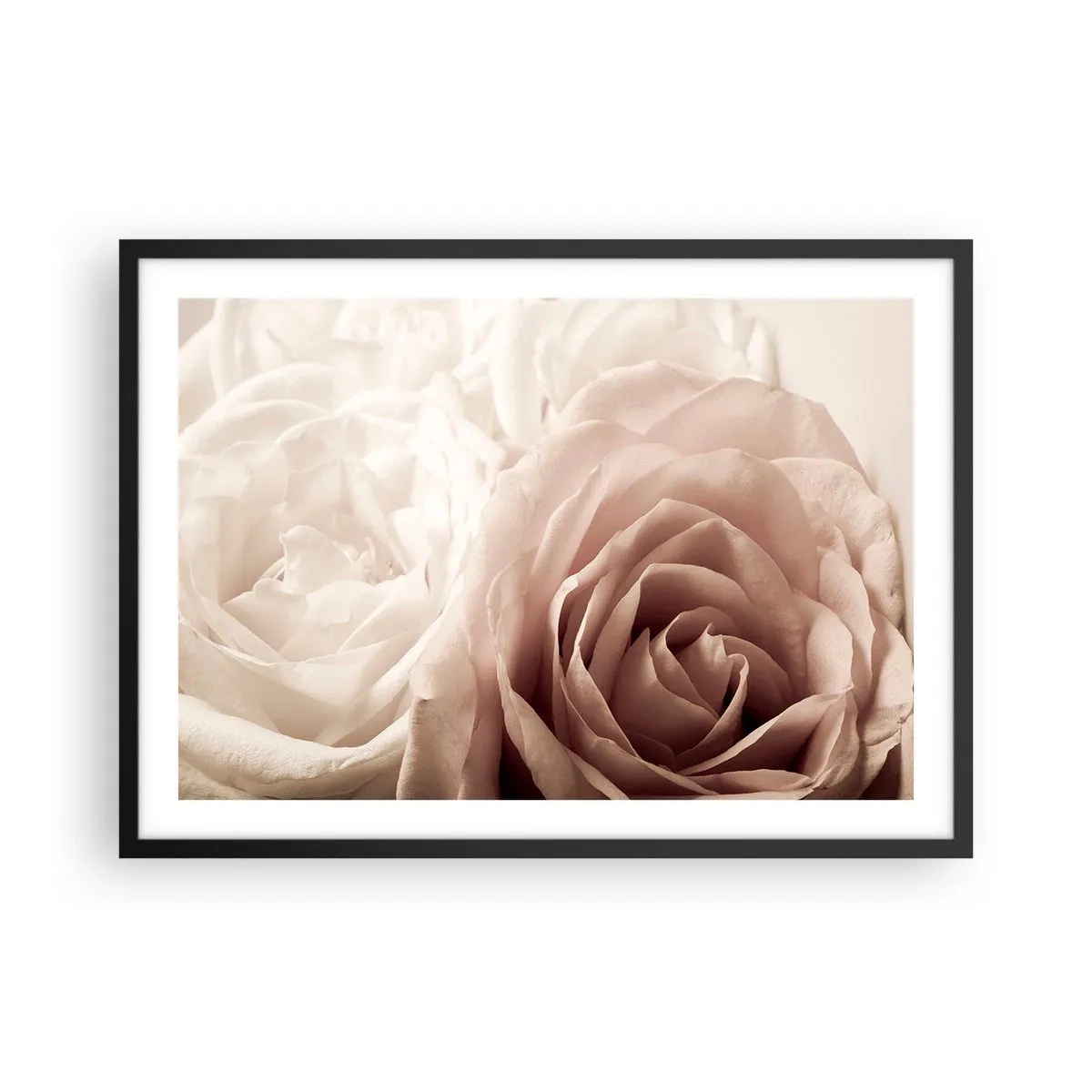 Pôster com moldura preta - No coração de uma rosa - 70x50 cm